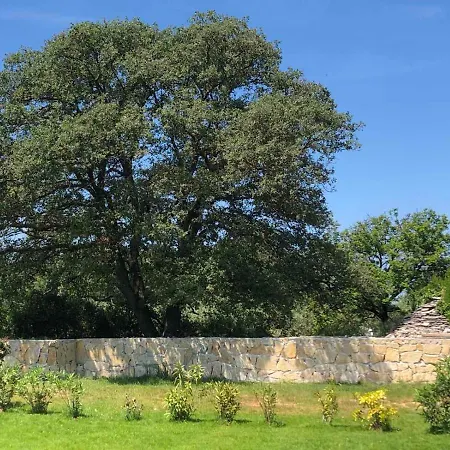 度假居 Casa La Vida Galižana