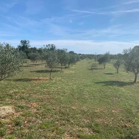 Casa La Vida * Galižana