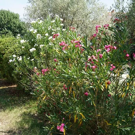 Casa La Vida Vakantiehuis