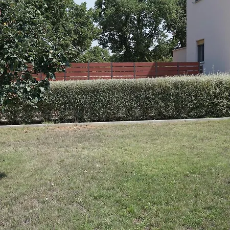 Casa La Vida Casa vacanze Galižana