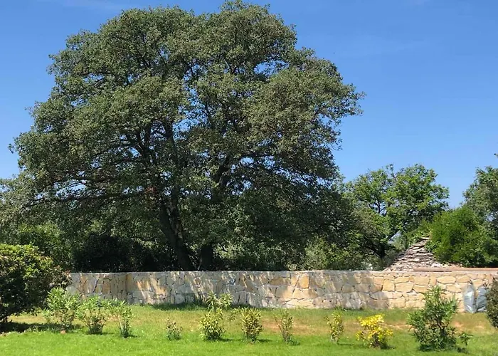 펜션 Casa La Vida Galižana