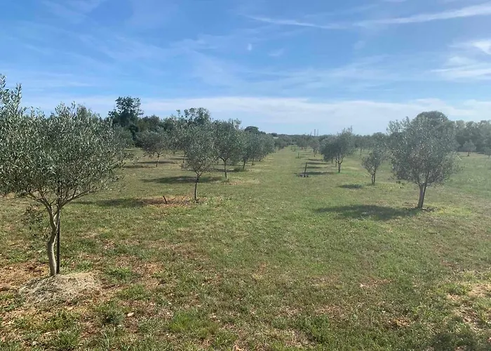 Casa La Vida * Galižana