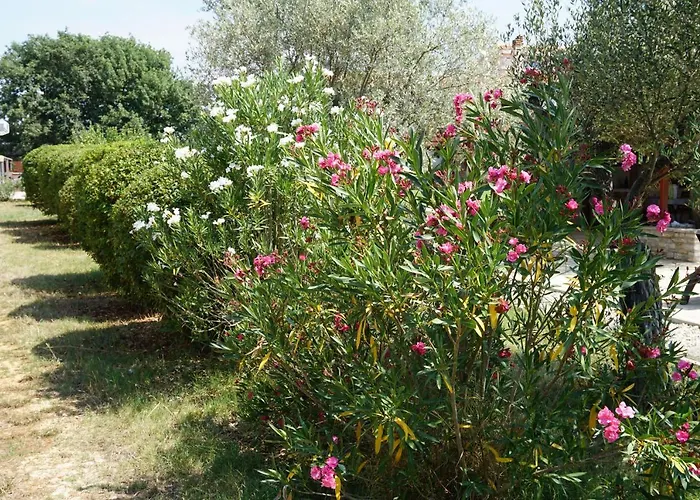 Casa La Vida Σπίτι διακοπών