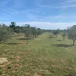Casa La Vida * Galižana