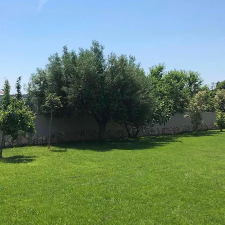 Casa La Vida