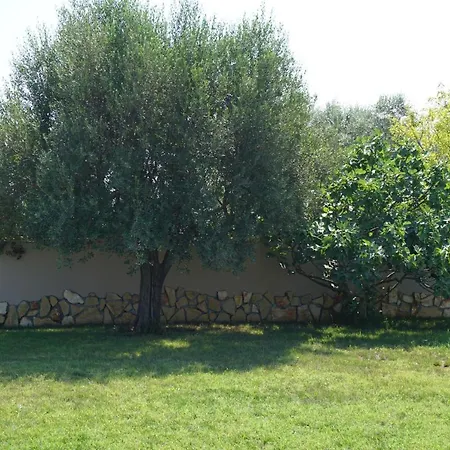 Casa La Vida Ferienhaus *