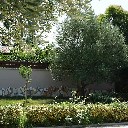 Casa La Vida Ferienhaus *