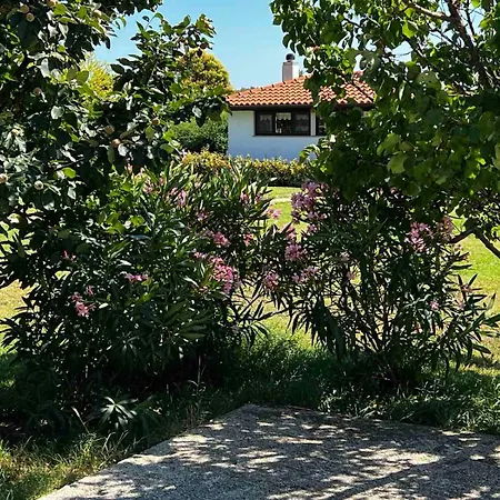 Ferienhaus Casa La Vida Galižana
